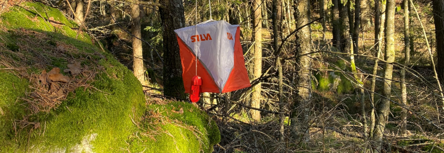 Treningsløp Krosseng bru + MM nattorientering